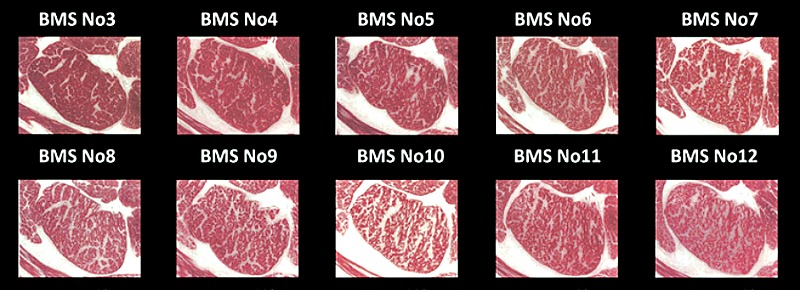 Japanese Wagyu Kobe Marbling Grade Chart