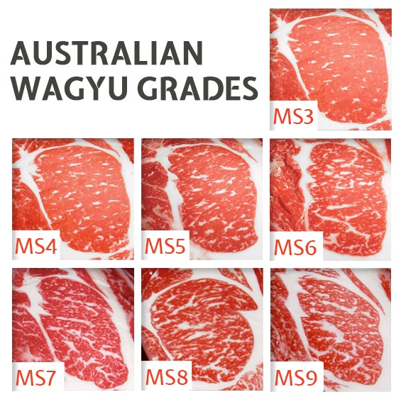 Wagyu 8oz Filets Marble Score 6-7 | Purely Meat