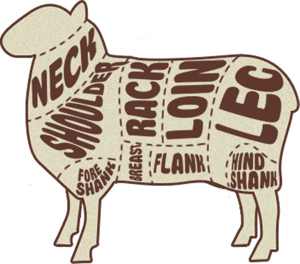 lamb meat cuts chart