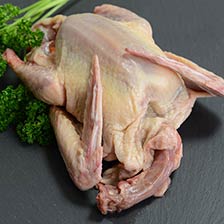 Squab, Whole