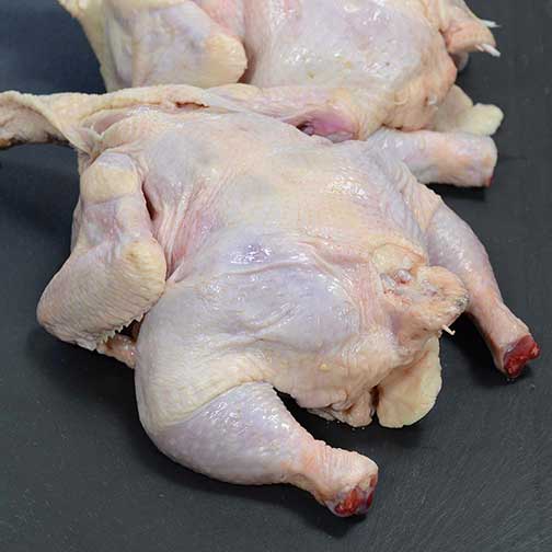 Jidori Chicken for Sale, Whole Organic Jidori Chicken