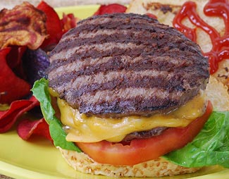 Bison Burgers